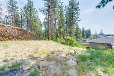 Morton, COLBERT, WA 99005