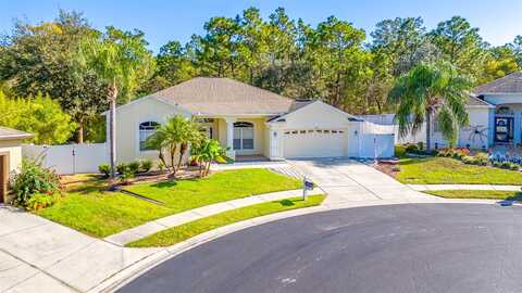 Deacon, SPRING HILL, FL 34609