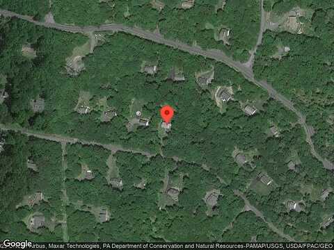 Crocus, MILFORD, PA 18337