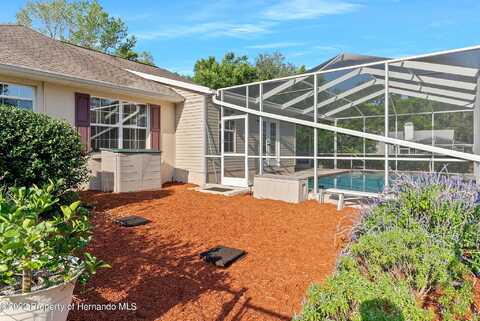 Orangewood, SPRING HILL, FL 34609