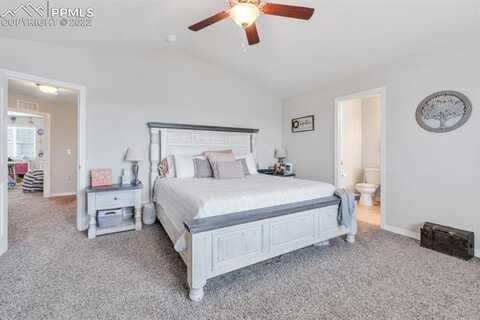 Pigeon, COLORADO SPRINGS, CO 80925