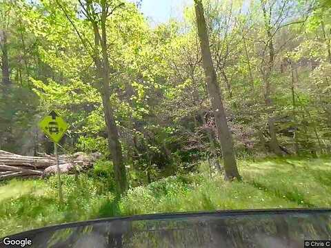 Rich Patch, COVINGTON, VA 24426