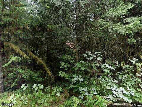Barlow Trail, RHODODENDRON, OR 97049