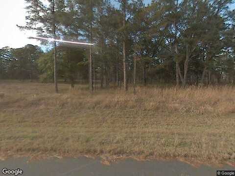 Bird Dog, TALLAHASSEE, FL 32309
