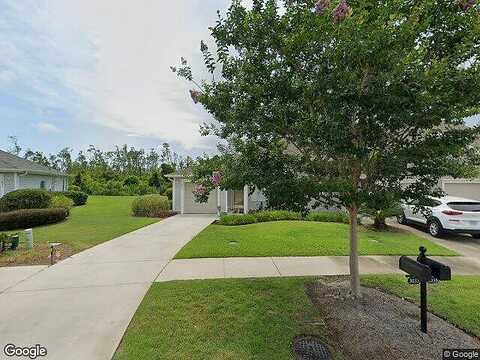 Meadow, LYNN HAVEN, FL 32444