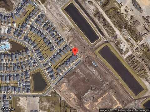 Warbler, PANAMA CITY, FL 32405