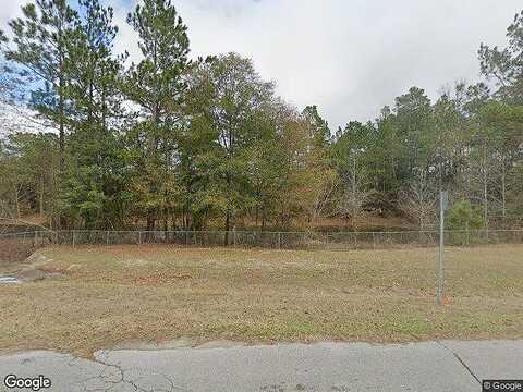 Turtle Pond, BAINBRIDGE, GA 39819