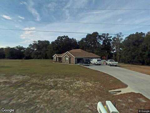 Mallard, LAKE CITY, FL 32024