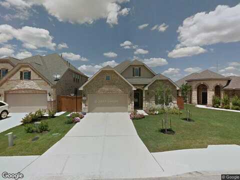 Horse, SAN ANTONIO, TX 78254