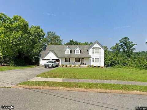 Blue Bird, RINGGOLD, GA 30736