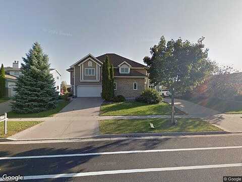 Elderberry, MADISON, WI 53717