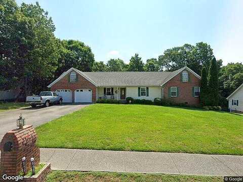 Blue Bird, RINGGOLD, GA 30736