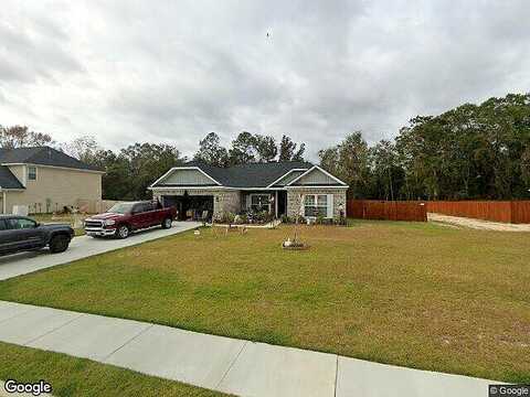 Halcyon, LUDOWICI, GA 31316