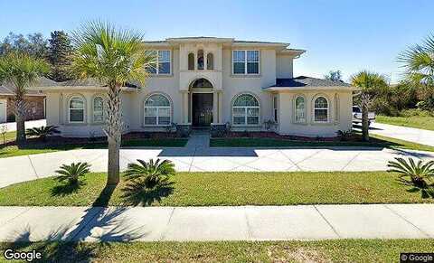 Black Walnut, PENSACOLA, FL 32514
