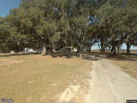 Fat Cat, LAKE CITY, FL 32055