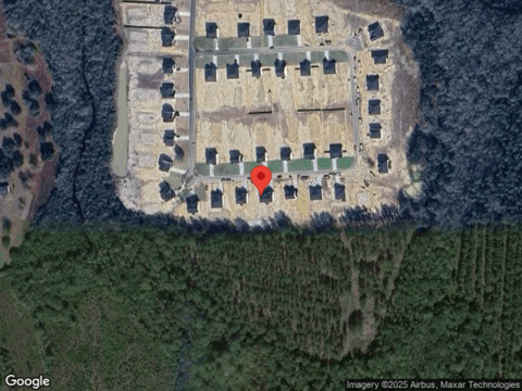 Sunflower, LUDOWICI, GA 31316