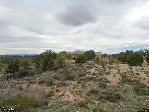 Pinyon Pine, RIMROCK, AZ 86335