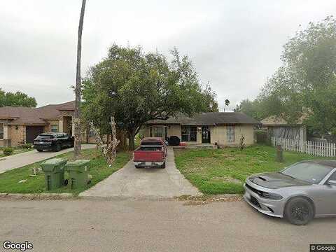Sago Palm, ALAMO, TX 78516
