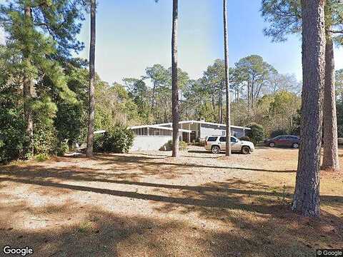 Palm, THOMASVILLE, GA 31792
