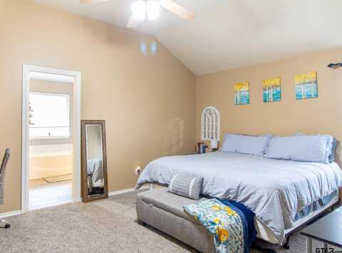 Palo Pinto, TYLER, TX 75707