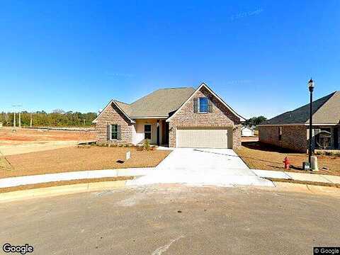 Queen Palm, MILTON, FL 32571