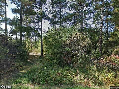 West, NEVIS, MN 56467