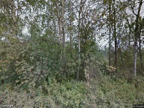 Burnett, NINE MILE FALLS, WA 99026