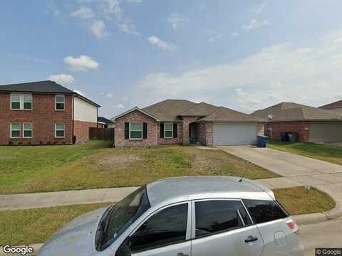Bissell, WYLIE, TX 75098