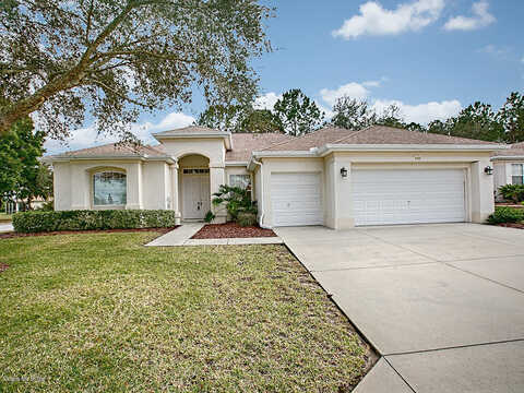 130Th Place, SUMMERFIELD, FL 34491