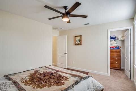 Auburnwood, WINDERMERE, FL 34786