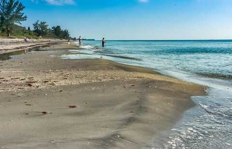 Alligator, VENICE, FL 34293
