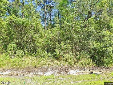 Green, MIDDLEBURG, FL 32068
