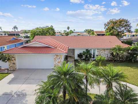 Porpoise, NEW PORT RICHEY, FL 34652