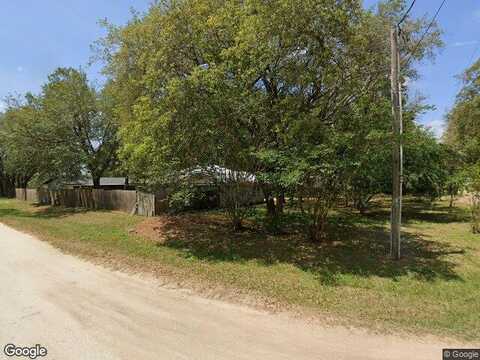 Palm, LADY LAKE, FL 32159