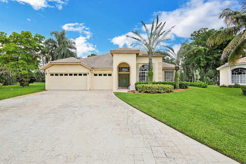 Button Bush, WELLINGTON, FL 33414