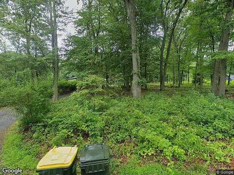 Chestnut, COOPERSBURG, PA 18036