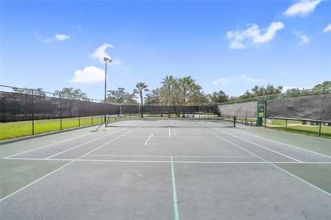 Stefano, MOUNT DORA, FL 32757
