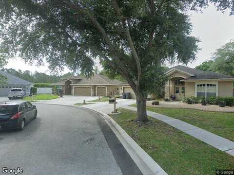Morden Blush, LUTZ, FL 33558