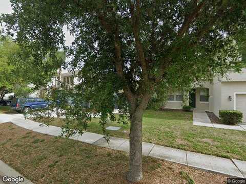 Copper Head, RIVERVIEW, FL 33569
