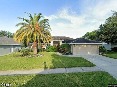 Henry, SPRING HILL, FL 34608