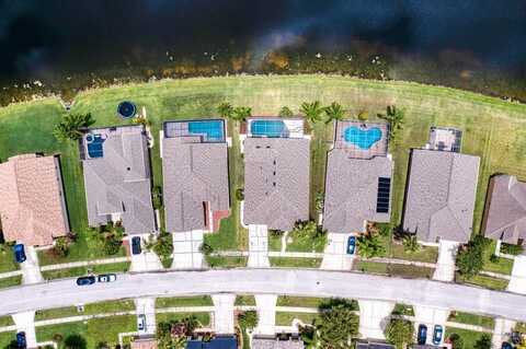 Tar Flower, TAMPA, FL 33626