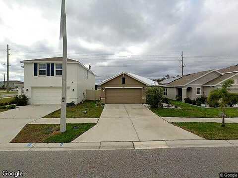 Downy Birch, RIVERVIEW, FL 33569