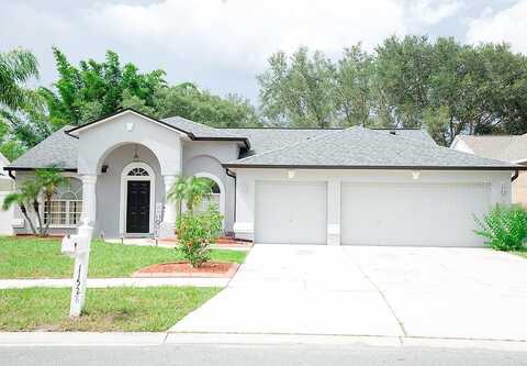 Andy, RIVERVIEW, FL 33569