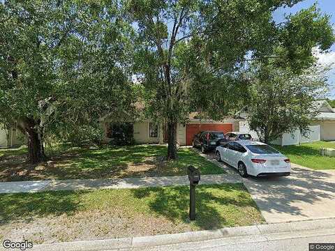 Pink Carnation, ORLANDO, FL 32825