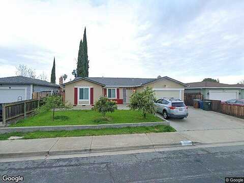 Aster, ANTIOCH, CA 94509