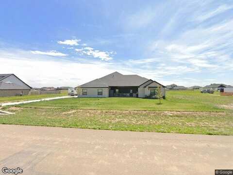 Cocklebur, AMARILLO, TX 79119