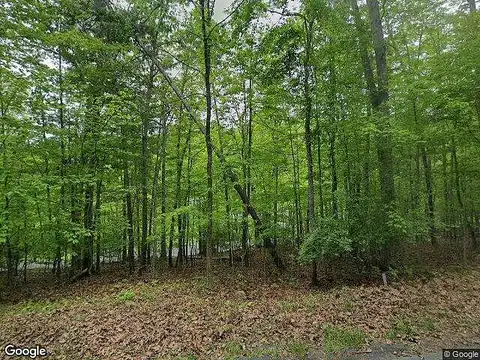 Pheasanty Hollow, WILLIAMSVILLE, VA 24487