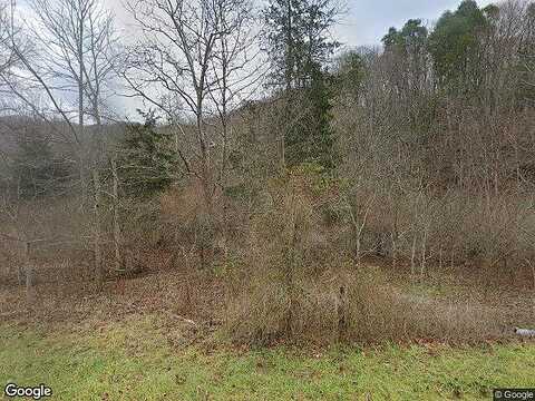 Cove, WYTHEVILLE, VA 24382