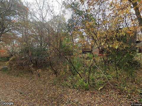 Jonquil, CHISAGO CITY, MN 55013