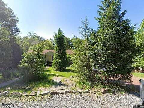 Selkirk, WILLIAMSPORT, PA 17701